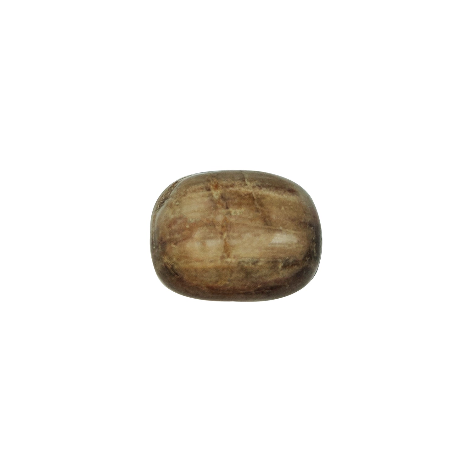Burattato Legno Fossile